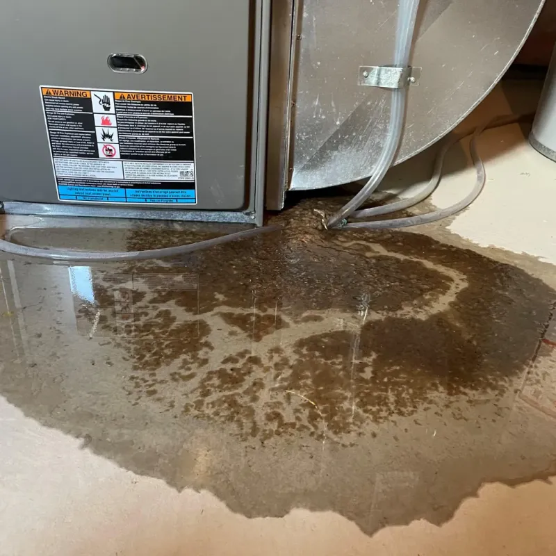 Appliance Leak Cleanup in Greene County, NC